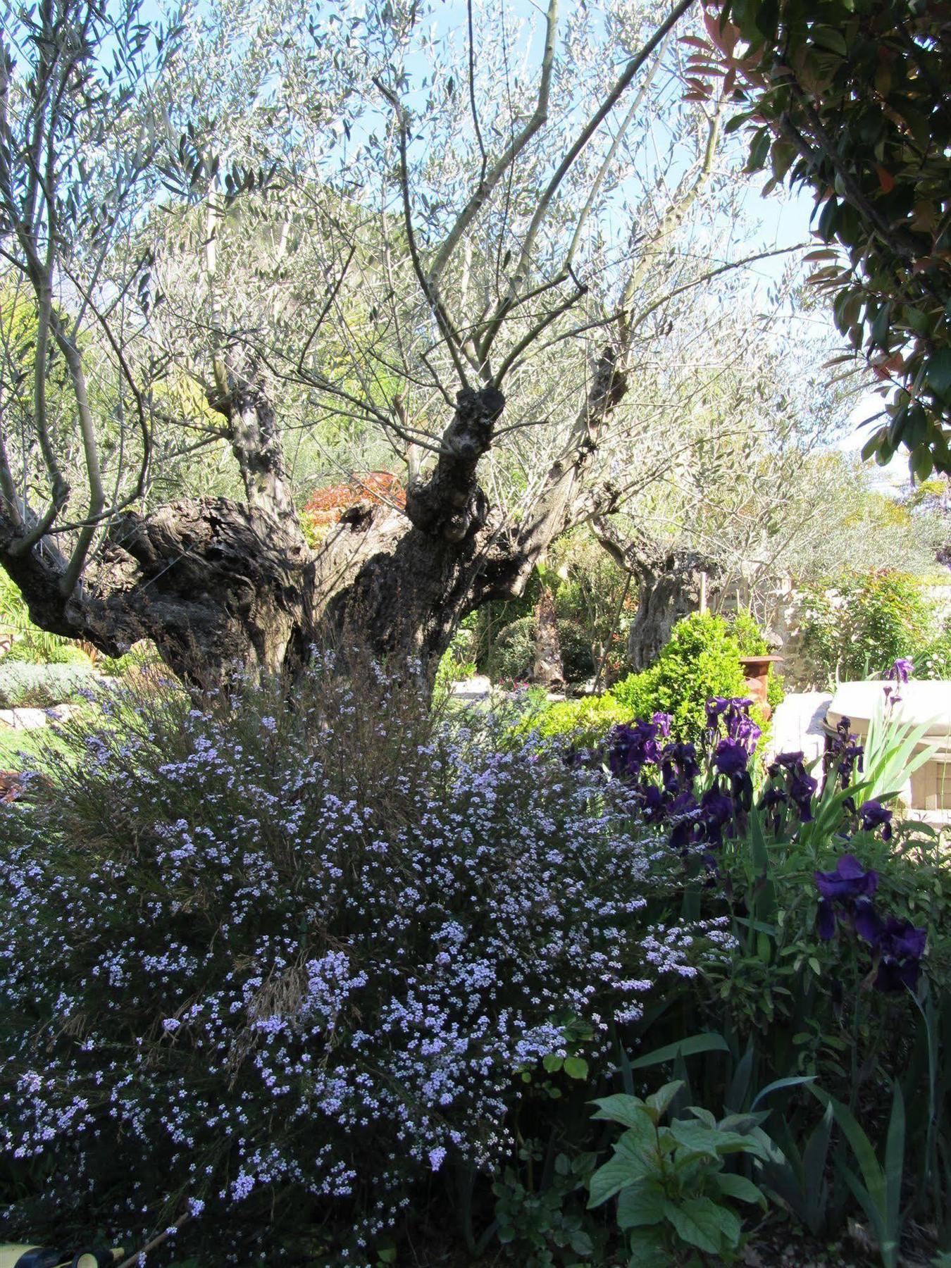 Bed & Breakfast Les Rosees